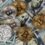 The Rise of Tokenized Treasuries – A New Era for Fixed-Income Investors
